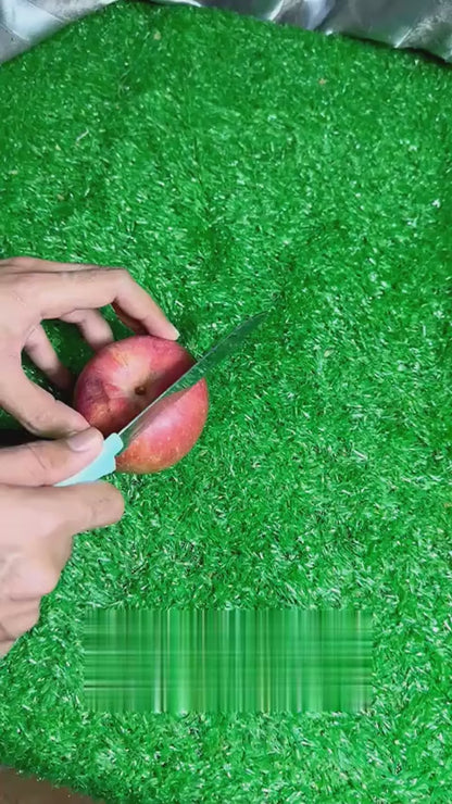 Professional Knife Sharpener